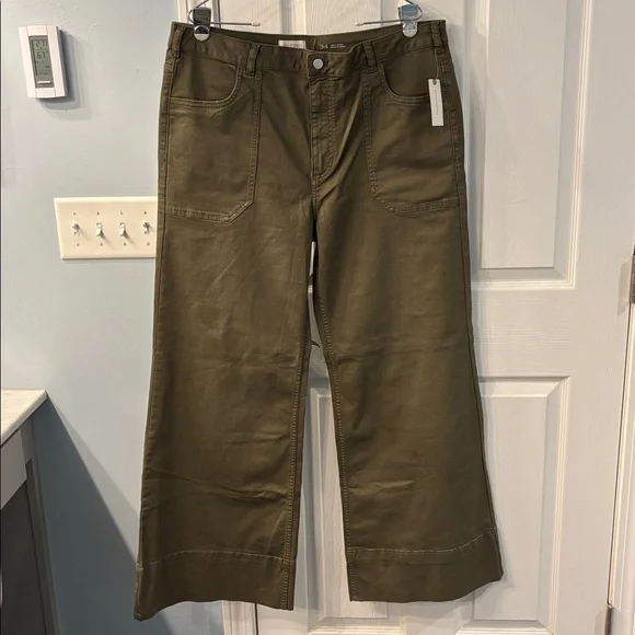 The Rylan Relaxed High Rise Flare Pants by Pilcro in Dried Fern, size 34, NWT - Picture 5 of 13